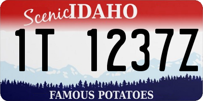 ID license plate 1T1237Z