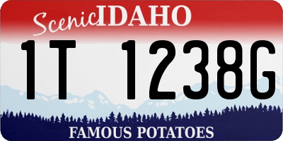 ID license plate 1T1238G