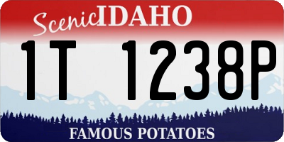 ID license plate 1T1238P