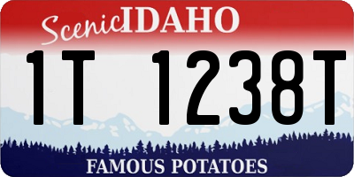 ID license plate 1T1238T