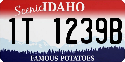 ID license plate 1T1239B