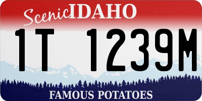 ID license plate 1T1239M