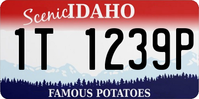 ID license plate 1T1239P