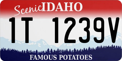 ID license plate 1T1239V