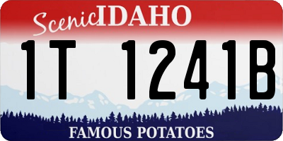 ID license plate 1T1241B