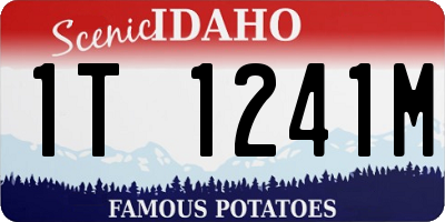 ID license plate 1T1241M