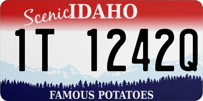 ID license plate 1T1242Q