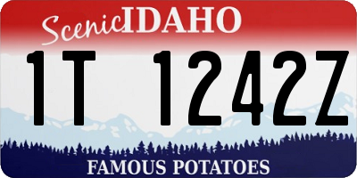 ID license plate 1T1242Z