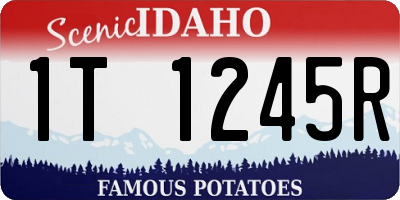ID license plate 1T1245R