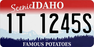 ID license plate 1T1245S