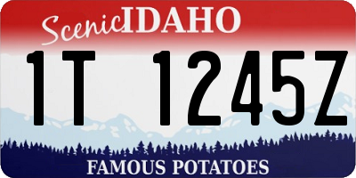 ID license plate 1T1245Z
