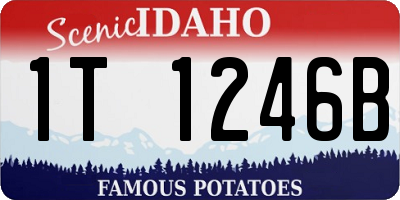 ID license plate 1T1246B