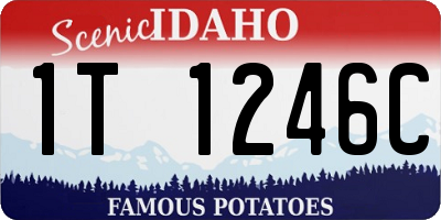 ID license plate 1T1246C