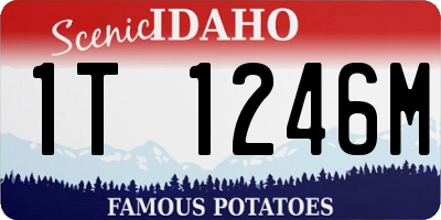 ID license plate 1T1246M