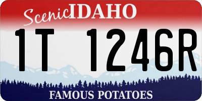 ID license plate 1T1246R