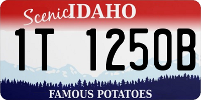 ID license plate 1T1250B