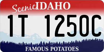 ID license plate 1T1250C