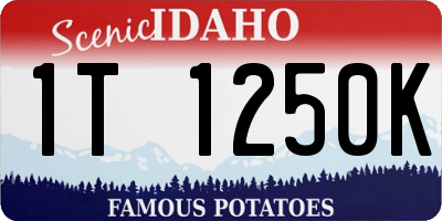 ID license plate 1T1250K