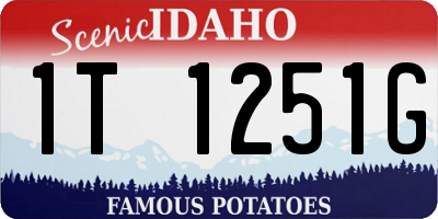 ID license plate 1T1251G