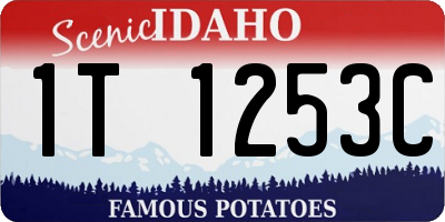 ID license plate 1T1253C