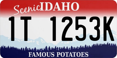 ID license plate 1T1253K
