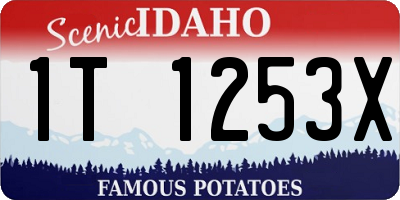 ID license plate 1T1253X