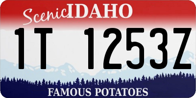 ID license plate 1T1253Z