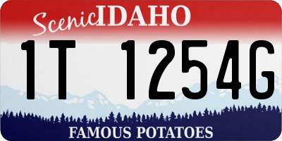 ID license plate 1T1254G