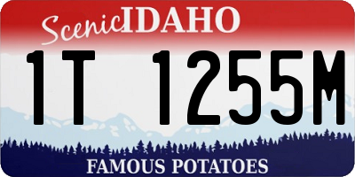 ID license plate 1T1255M