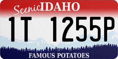 ID license plate 1T1255P