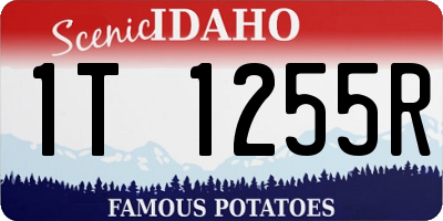 ID license plate 1T1255R
