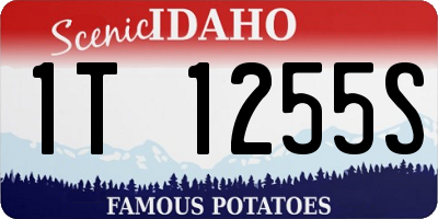 ID license plate 1T1255S