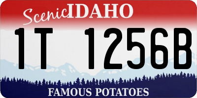 ID license plate 1T1256B