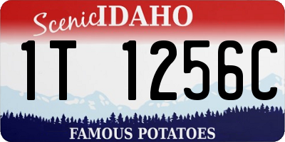 ID license plate 1T1256C