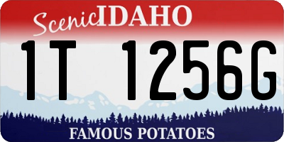ID license plate 1T1256G