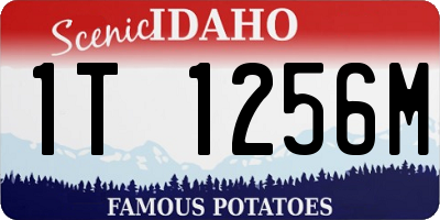 ID license plate 1T1256M