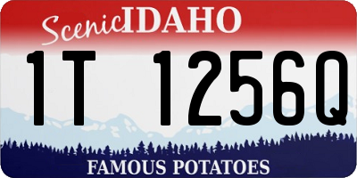 ID license plate 1T1256Q