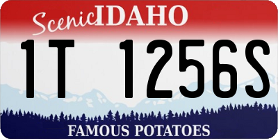 ID license plate 1T1256S