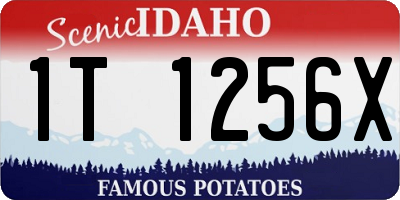 ID license plate 1T1256X