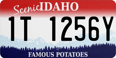 ID license plate 1T1256Y