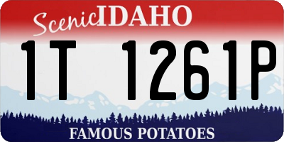ID license plate 1T1261P