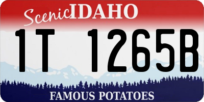 ID license plate 1T1265B