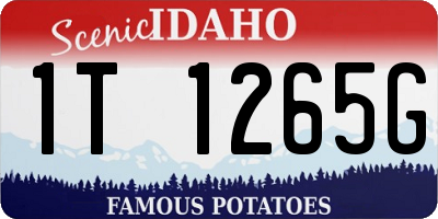 ID license plate 1T1265G