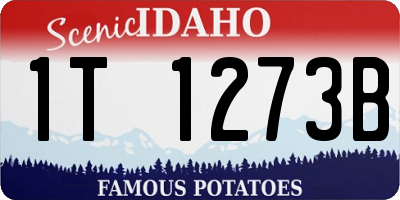 ID license plate 1T1273B