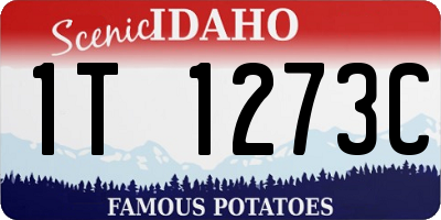 ID license plate 1T1273C
