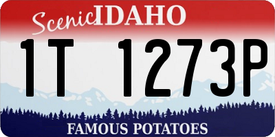 ID license plate 1T1273P