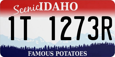 ID license plate 1T1273R
