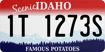 ID license plate 1T1273S