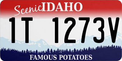 ID license plate 1T1273V