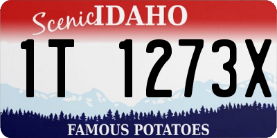 ID license plate 1T1273X